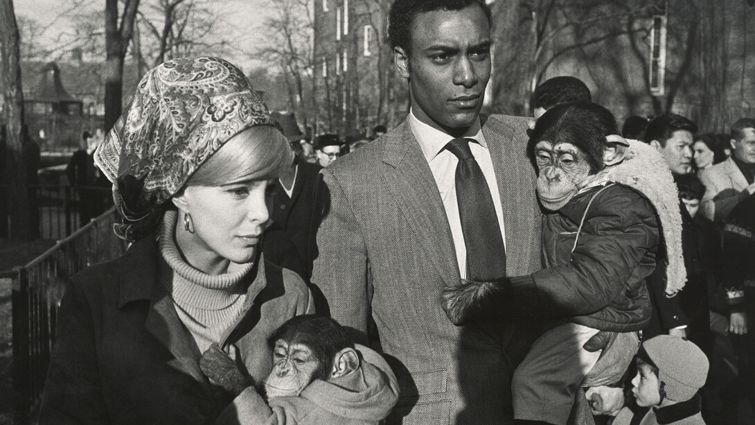 Garry Winogrand, Central Park Zoo, New York [Zoo de Central Park, New York], 1967, Tirage gélatino-argentique ; Collection of Randi and Bob Fisher, © The Estate of Garry Winogrand, courtesy Fraenkel Gallery, San Francisco, Photo: Don Ross