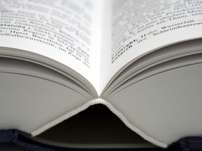 Un diccionario abierto