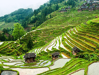 Il “Grande balzo in avanti”, fu un piano di crescita economica pluriennale che aveva come obiettivo finale quello di far uscire la popolazione cinese dalla grave povertà in cui si trovava