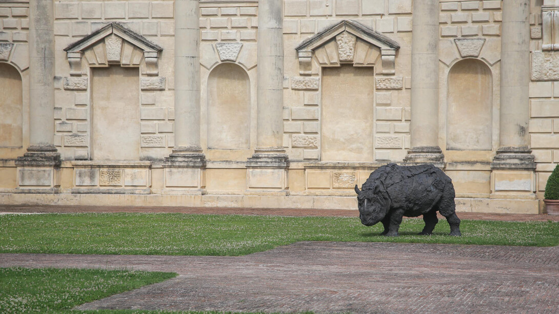 Un sogno fatto a Mantova - Palazzo Te, Opera di Rivalta