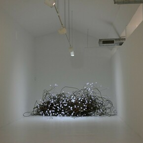 Bailando en Casa del Trompo, Exhibition view. Courtesy of Diana Lowenstein Gallery