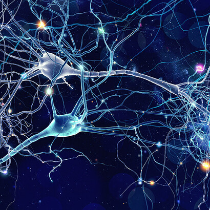 The human brain is, among other things, a pattern detector