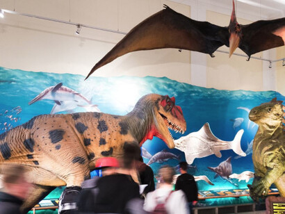 Prehistoric Times and Dinosaurs. Courtesy of Haus der Natur 