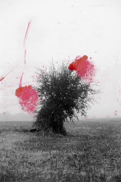 Raquel Antunes. Courtesy of Narrativa