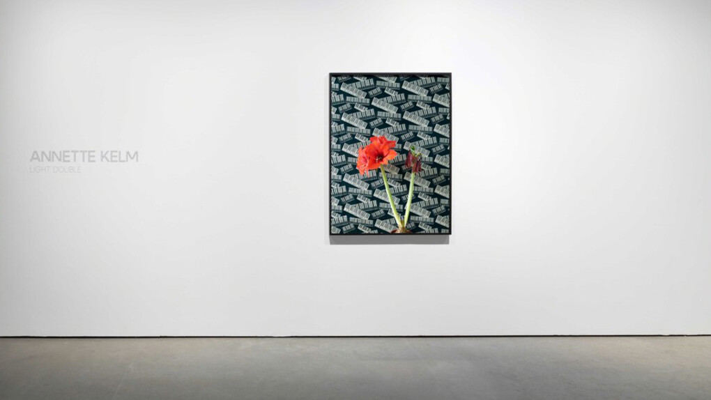 Annette Kelm. Courtesy of König Galerie