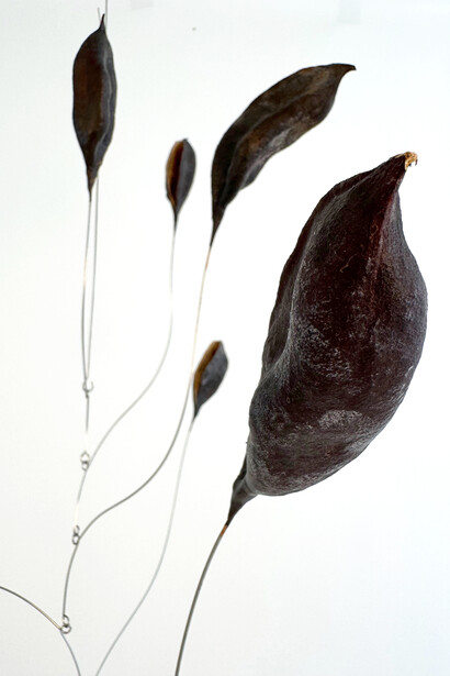 Karolina Maszkiewicz, The weight of light (detail), 2026. Courtesy of Jane Lombard Gallery
