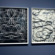 Maurizio Donzelli, La linea del tutto. Courtesy of Cortesi Gallery
