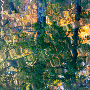 Thad Lee, Fall pool (1/7), 2024. Courtesy of Spalding Nix Fine Art