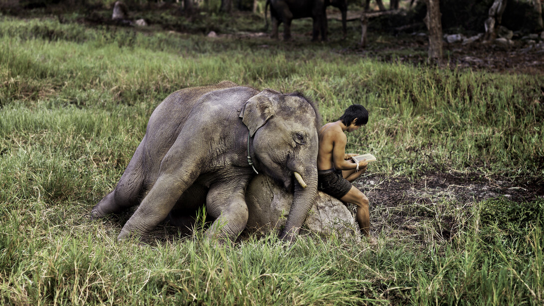 Steve McCurry. Courtesy of MUDEC