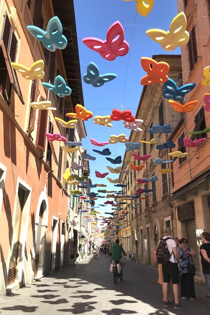 Butterflies, Pietrasanta town © Alma Reyes 