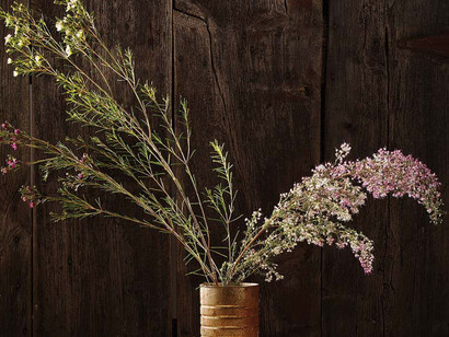 In natura tutto è transitorio