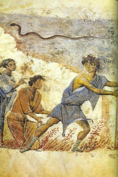 Theriaca, X secolo, Costantinopoli.