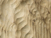 Anya Gallaccio. Courtesy of The Contemporary Austin 