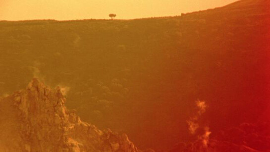 Basim Magdy. Courtesy of MAAT