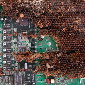 Eirini Tampasouli, Electronic honeycombs 3 (detail), 2025. Courtesy of Roma Gallery
