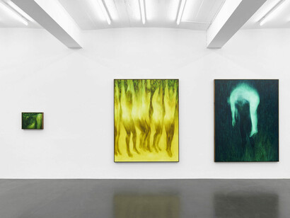 Xie Lei, Désarroi, ausstellungsansicht. Mit freundlicher genehmigung von Sies + Höke