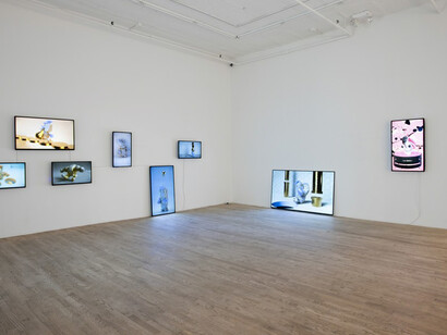Glamour Modeling. Courtesy of Postmasters Gallery and the photographer Lishan Liu