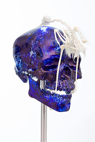 Jan Fabre. Courtesy of Galerie Daniel Templon