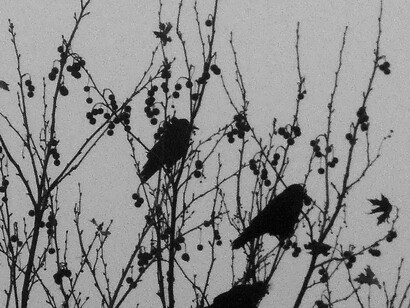 Agradar os dois públicos ao mesmo tempo era difícil, seus novos filmes deviam ser suspenses mais sutis ou mais explícitos?