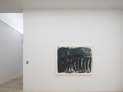 Trip of the Tongue, Exhibition view. Courtesy of Simon Lee Gallery