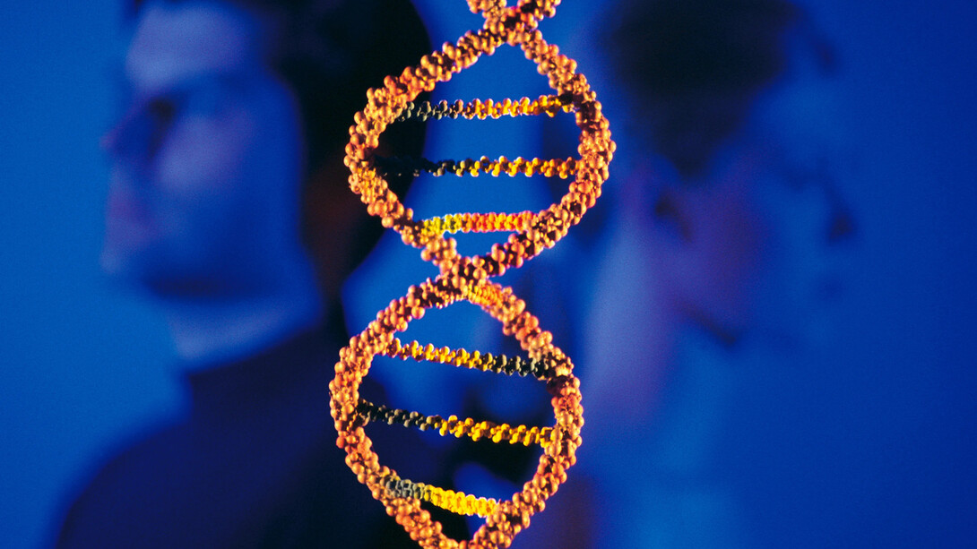 O movimento do DNA em 3D