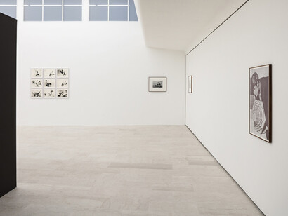 Alessandra Spranzi. Courtesy of P420