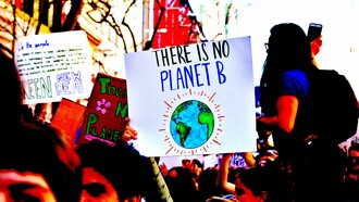 El año del medio ambiente