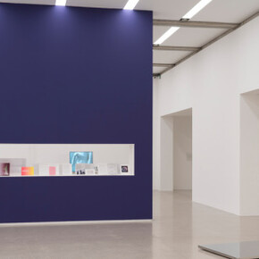 Martin Beck, Exhibition view. Courtesy of Mumok 