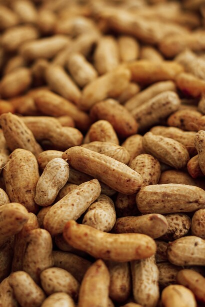 Peanuts in shells called monkey-nuts