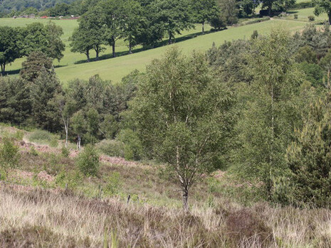 Mixed patches of Grassland and Woodland © Gehan de Silva Wijeyeratne