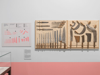 Meat, exhibition view. Courtesy of Musa Museum