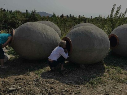 A person looking inside a resting Qvervi trying to extract the fluids in a thorough and precise manner