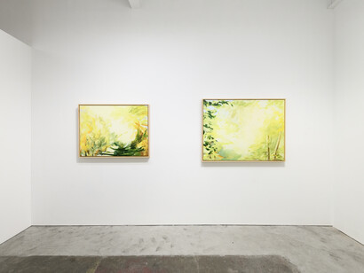 Janet Jacobs, Into the light, exhibition view. Courtesy of Eleanor Harwood Gallery