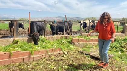 Leila Derouiche Rafrafi ha costruito da sola il suo cottage: è il frutto e l'esempio dell'emancipazione delle donne tunisine