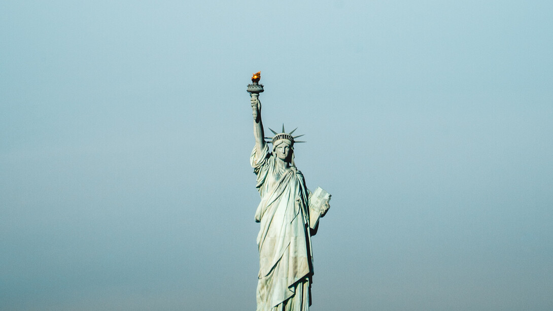 The American elections 