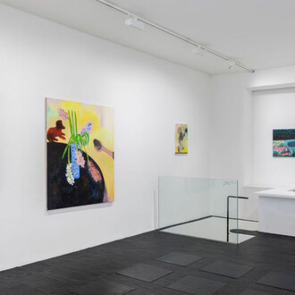 Rosalind Nashashibi, Tender horse, exhibition view. Courtesy of Galerie Urs Meile