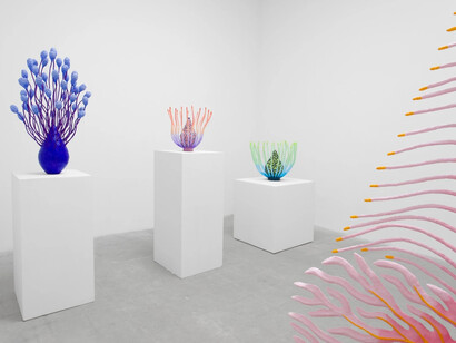 Sarah Ippolito, Liquid realm, exhibition view. Courtesy of VSF Gallery