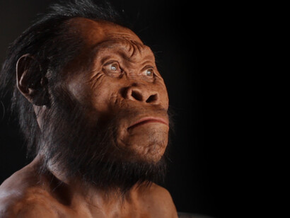 Homo Sapiens