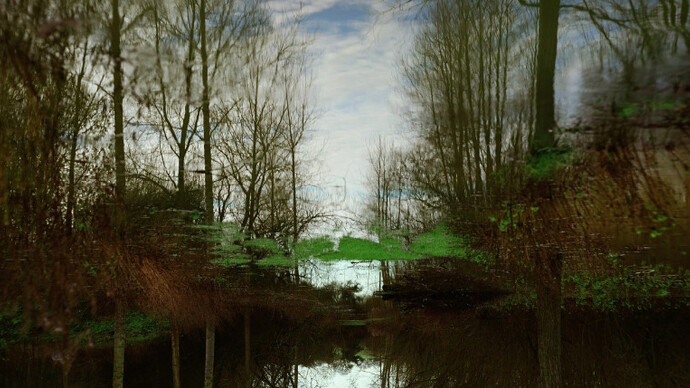 Launch Exhibition. Courtesy of Black Box Projects