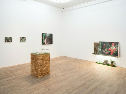 Mark Dorf, Exhibition view. Courtesy of Postmasters Gallery