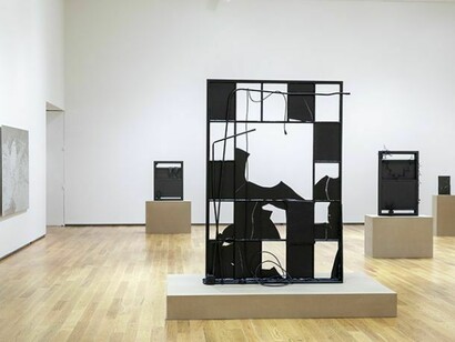Tony Matelli, installation view. Photo by John Kennard