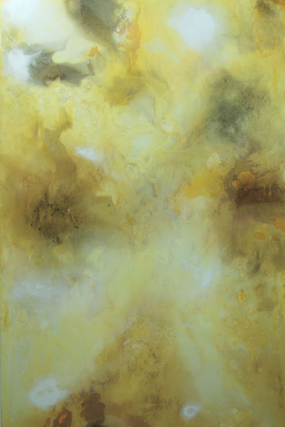 Alex Gough, Wilderness in Paint No.18, 110 x 180 cm, Pigment, acrylic binder, gesso, canvas and polyester, 2014 
