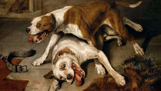 Edwin Landseer; Perros de pelea tomam un descanso