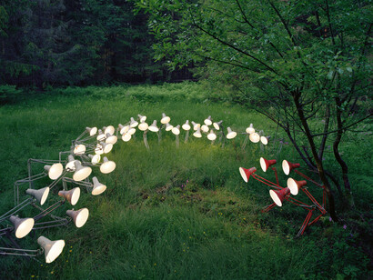 Rune Guneriussen, Accurate elliptical discourse, 2013, 80 x 109 cm, digital c-print/aluminium