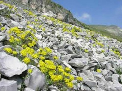 Parco Nazionale delle Dolomiti Bellunesi  
