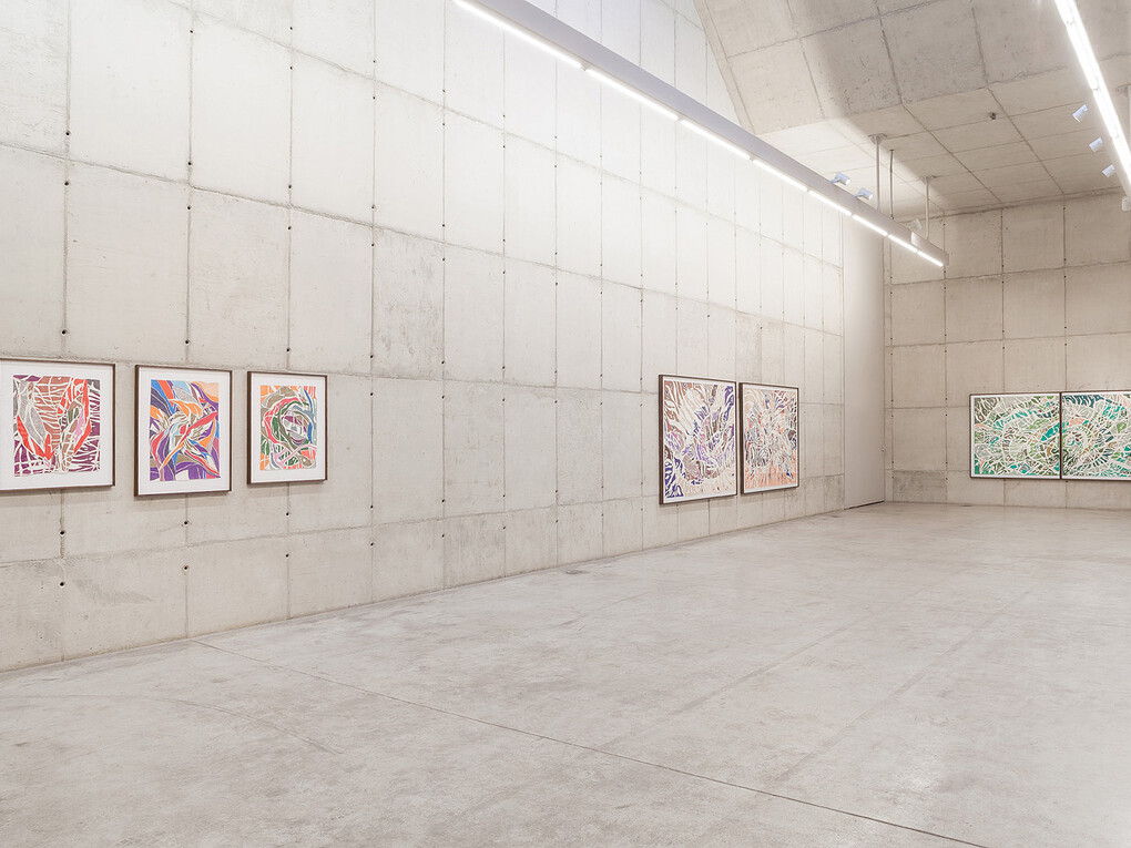 Marcia de Moraes. View of the exhibition Failed acts