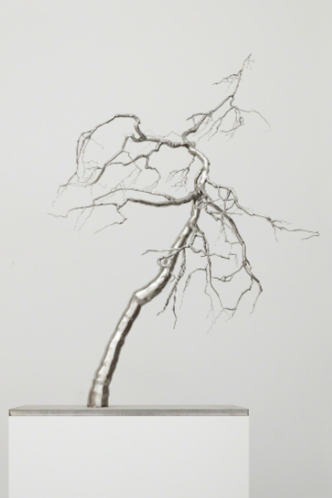Roxy Paine. Courtesy of Paul Kasmin Gallery