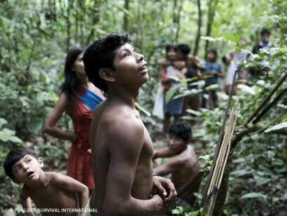 La tribu awá, amenazada por la deforestación