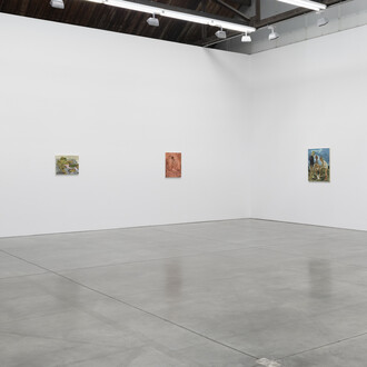 Salman Toor, Wish Maker, exhibition view at Luhring Augustine Chelsea. Courtesy of Luhring Augustine