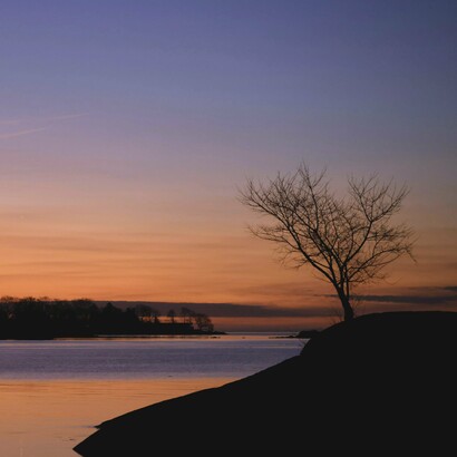 Sin estímulos externos invasivos, la calma de un paisaje puede incentivar la reflexión